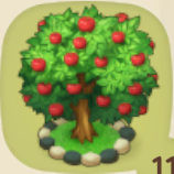 赤リンゴの木