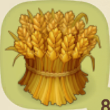 収穫した小麦